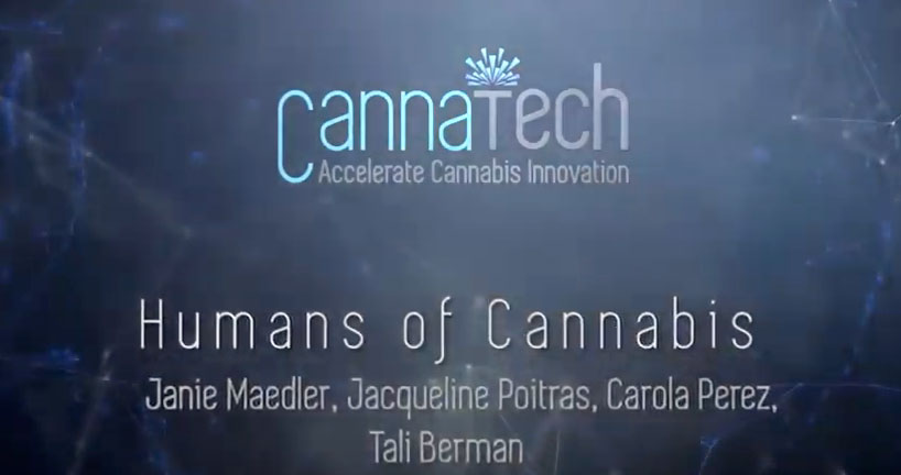 Read more about the article The Humans of Cannabis: Cannabis Industry Change Makers
