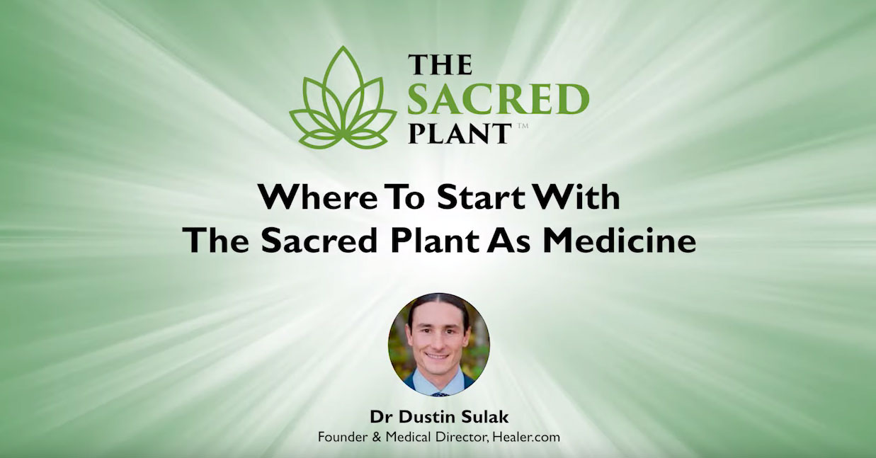Read more about the article Where to start with The Sacred Plant as Medicine