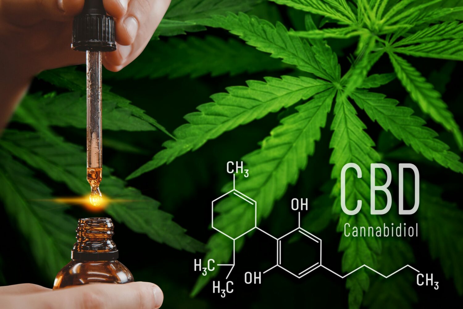 Read more about the article Είναι καλύτερα η λήψη περισσότερου CBD; Η επιστήμη πίσω από την δοσολόγηση του CBD για το άγχος και για άλλες καταστάσεις